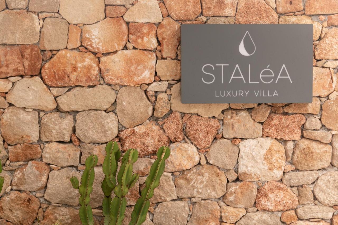 Stalea Luxury Villa Pefki Exterior foto